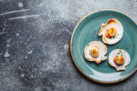 Delicious fried cooked scallops served in shells on blue plate, grey rustic concrete background, top...