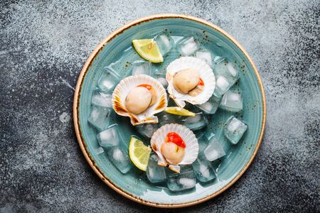 Raw fresh uncooked scallopsの写真素材