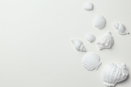 Assorted white seashellsの写真素材