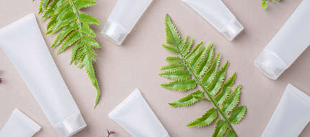 Skincare organic beauty product bottles, green plant leaves on gray backgroundの写真素材