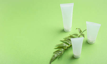 Skincare organic beauty product bottles, plant leaves on green backgroundの写真素材