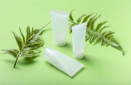 Skincare organic beauty product bottles, plant leaves on green backgroundの写真素材