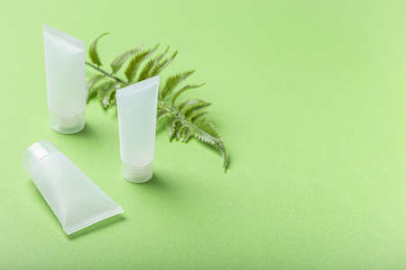 Skincare organic beauty product bottles, plant leaves on green backgroundの写真素材