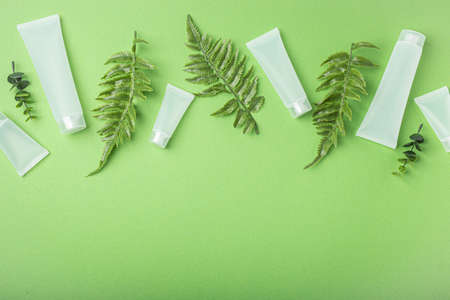 Skincare organic beauty product bottles, plant leaves on green background