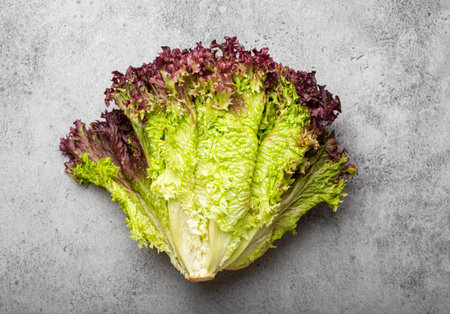 Fresh raw organic farm Lolo Rosso lettuce salad on grey rustic stone background top view, healthy green salad in balanced nutrition, cooking conceptの写真素材