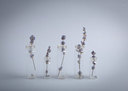 Lavender sprigs in glass test tubes staying at gray background, beauty concept of cosmetology, body...