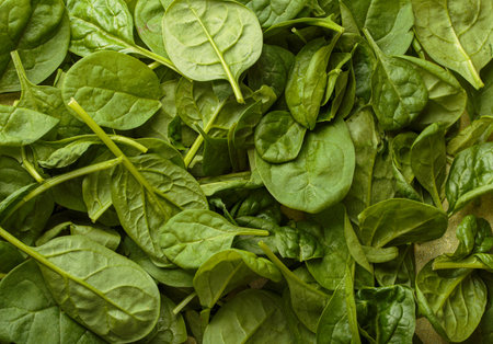 Fresh spinach leaves filling the frame creating a vibrant green background top view