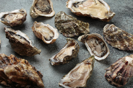 Fresh oysters scattered on a gray surface, creating a luxurious seafood display top view