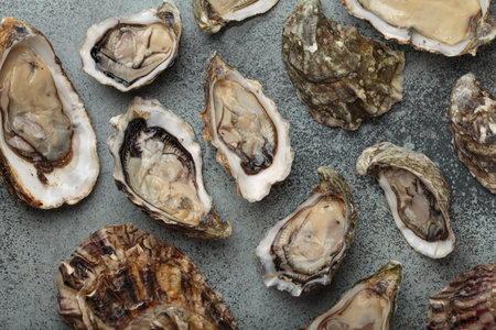 Fresh opened oysters scattered on dark gray surface top viewの写真素材