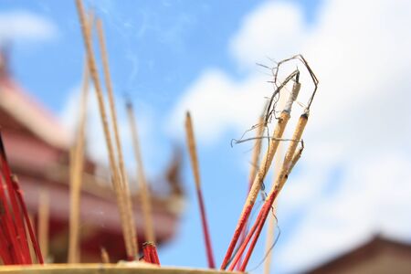 incense stick for pray respect to the buddhaの写真素材
