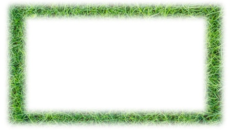 grass frameの写真素材