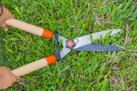 gardener  cutting grass with scissorsの写真素材