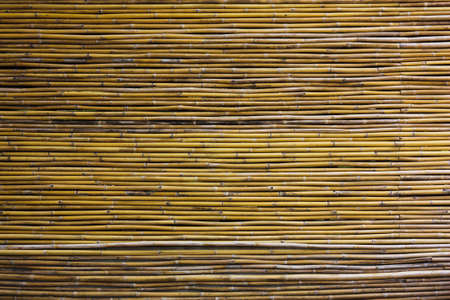 the Bamboo wall as texture or backgroundの写真素材