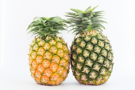 the  pineapple on white backgroundの写真素材