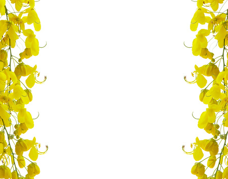 golden flower isolated on white backgroundの写真素材