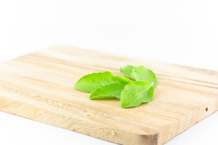 basil leaves on chopping block on white background :  ingredient for Thai foodの写真素材