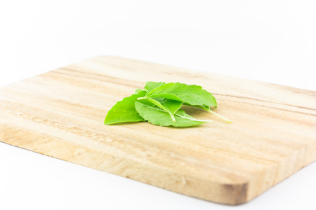 basil leaves on chopping block on white background :  ingredient for Thai foodの写真素材