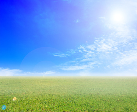 green grass and blue sky on sunny dayの写真素材