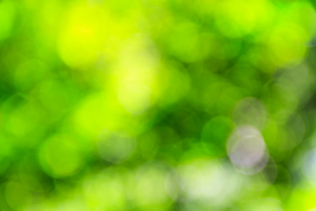 defocused bokeh light from tree backgroundの写真素材