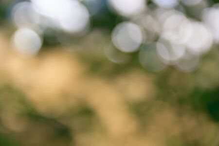 defocused bokeh light from tree backgroundの写真素材