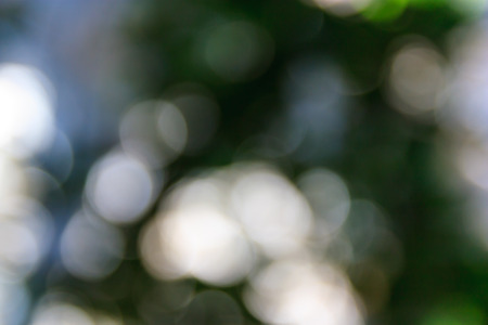 defocused bokeh light from tree backgroundの写真素材