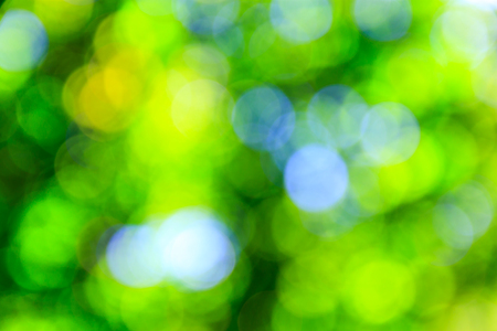 defocused bokeh light from tree backgroundの写真素材