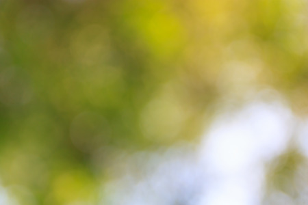 defocused bokeh light from tree backgroundの写真素材