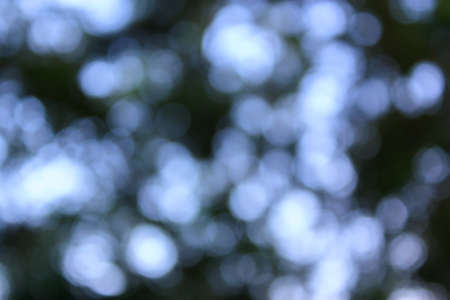 defocused bokeh light from tree backgroundの写真素材