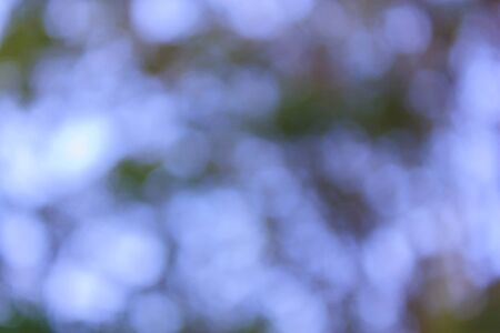 defocused bokeh light from tree backgroundの写真素材