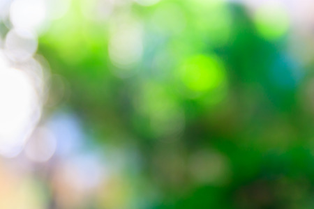 defocused bokeh light from tree backgroundの写真素材