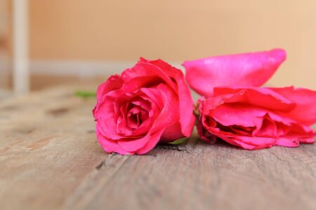 pink rose on wood backgroundの写真素材
