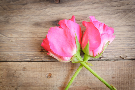 pink rose on wood backgroundの写真素材