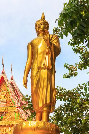 standing buddha image in the templeの写真素材