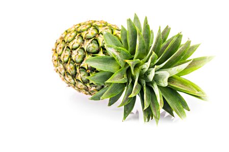 ripe pineapple on white backgroundの写真素材
