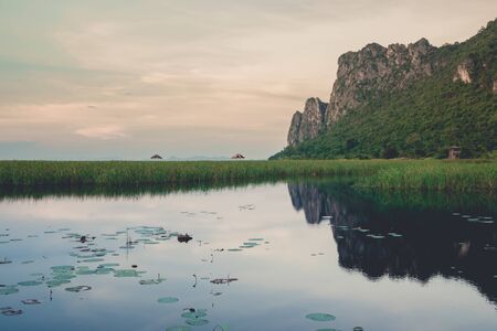 scenary of fresh water lotus lake in San Roi Yod Nationpark Thailandの写真素材