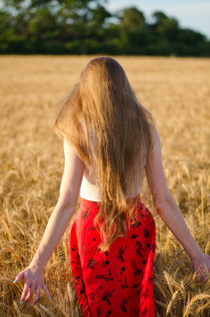 Girl with long hair standing in a wheat field with his back, in the rays of the evening sunの写真素材