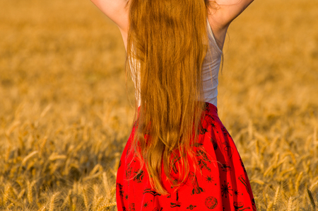 Girl with long hair from the back, in a wheat fieldの写真素材