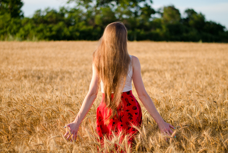 Girl with long hair standing in a wheat field with his back, in the rays of the evening sunの写真素材