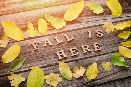 Inscription. Fall is here in wooden letters. Frame of yellow leaves, wooden backgroundの写真素材