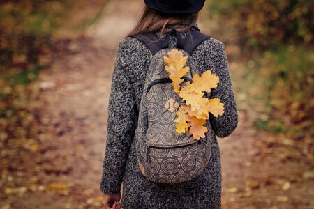 Yellow leaves in a backpack, a girl stands in an autumn forest. Back viewの写真素材