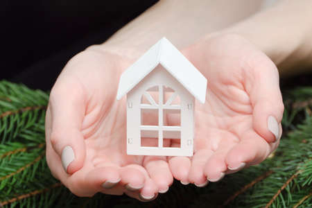Small white house in female hands. Spruce branch on background. Close-upの写真素材
