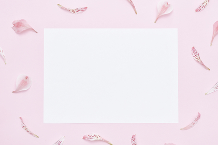Pink background, white sheet of paper on the center. Frame of flower petalsの写真素材