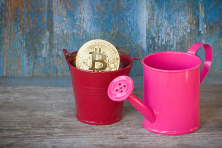 Little watering can and coin bitcoin in pot. Old wooden background. Business conceptの写真素材