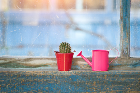 Small pink watering can and cactus on the old windowの写真素材