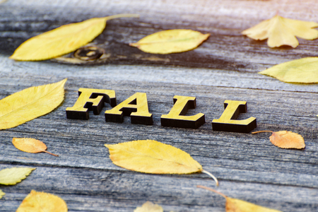 Inscription Fall on a wooden background, frame of yellow leaves