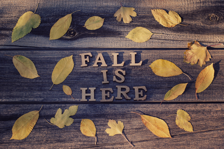 Inscription. Fall is here in wooden letters. Frame of yellow leaves, wooden backgroundの写真素材