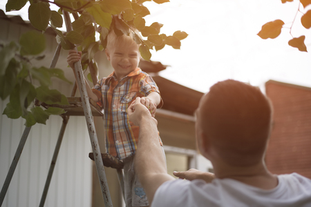 Father and the little son are harvesting apples. Garden in the backgroundの写真素材