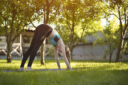 Young woman in the garden practices yoga. Pose of the dog snout down. Summer morning.の写真素材