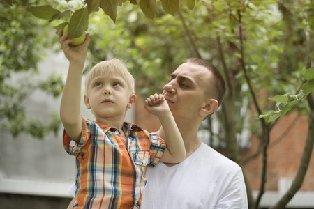 Father and the little son are harvesting apples. Garden in the backgroundの写真素材