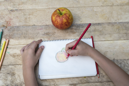 Children's hands draw an apple with colored pencils. Top viewの写真素材